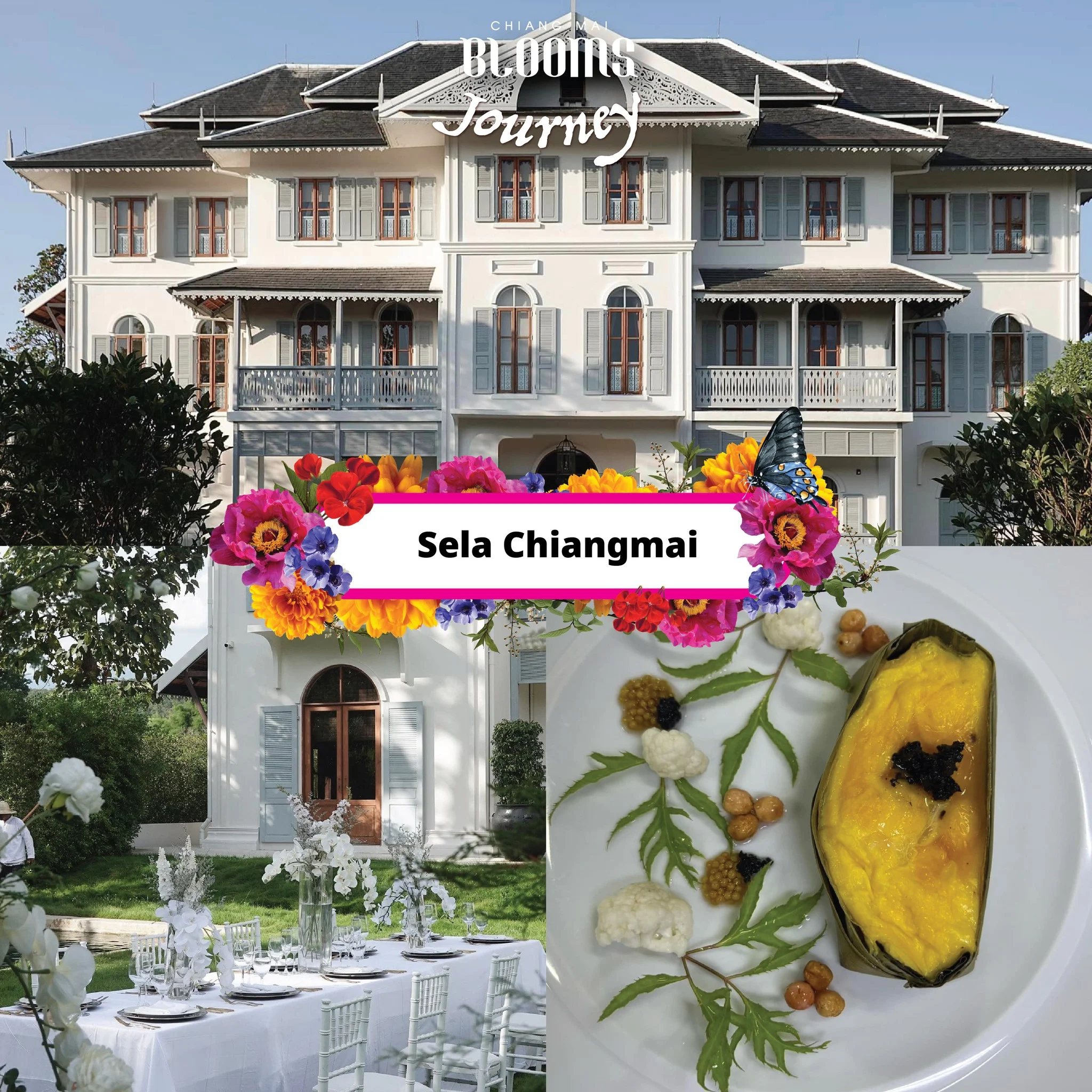 Chiang Mai Blooms Journey ดีลเด็ดที่พัก โรงแรมเชียงใหม่
