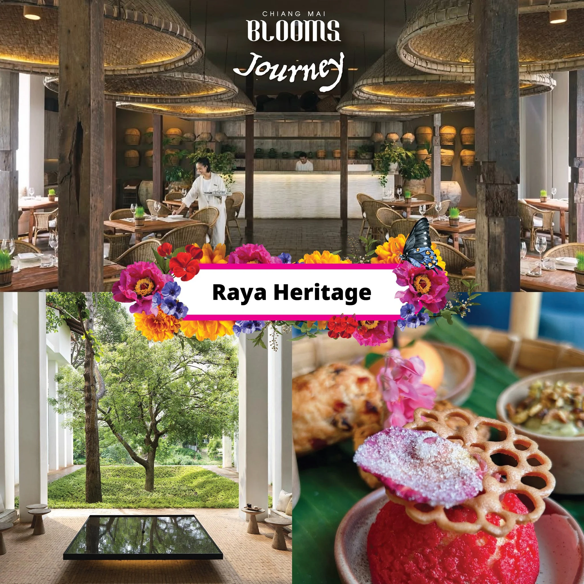 Chiang Mai Blooms Journey ดีลเด็ดที่พัก โรงแรมเชียงใหม่