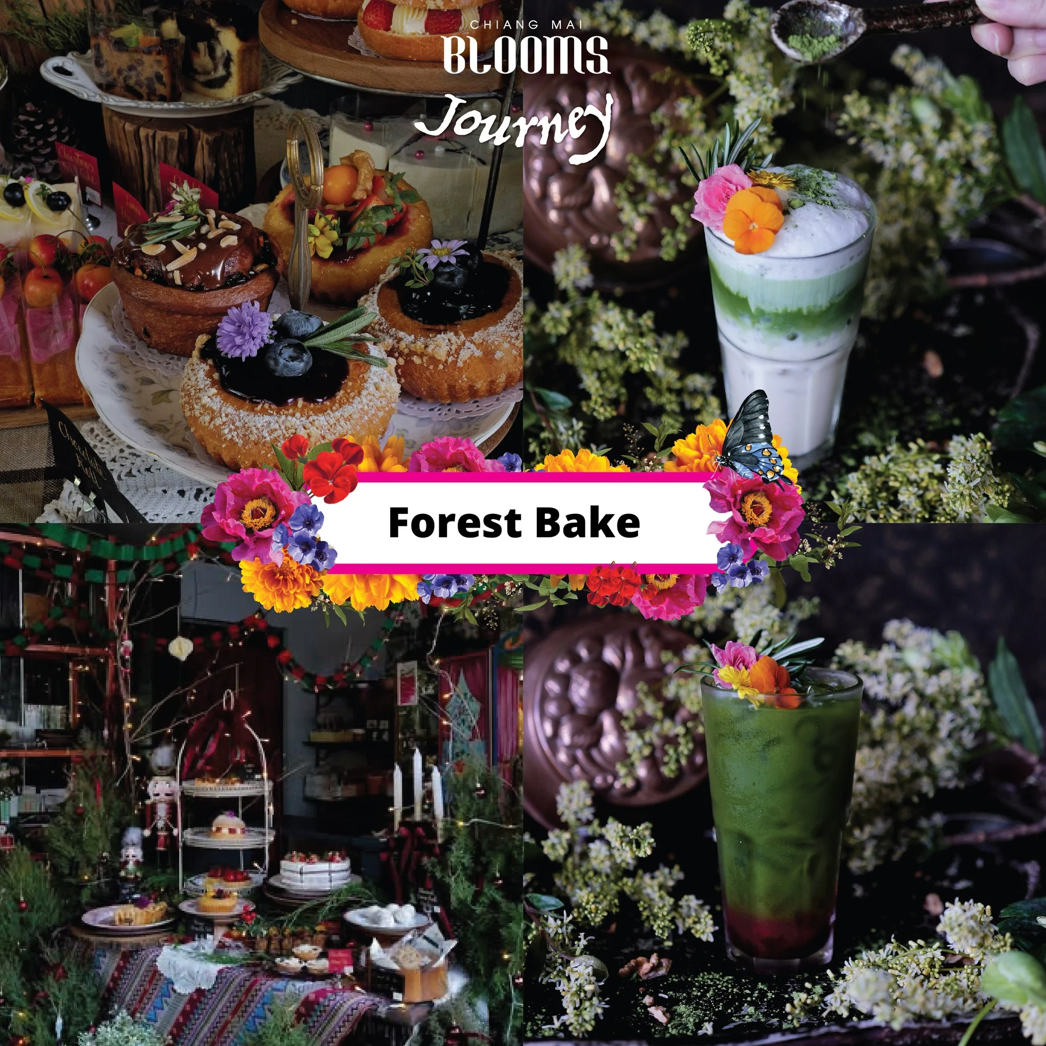 Chiang Mai Blooms Journey ดีลเด็ดที่พัก ร้านอาหาร คาเฟ่เชียงใหม่