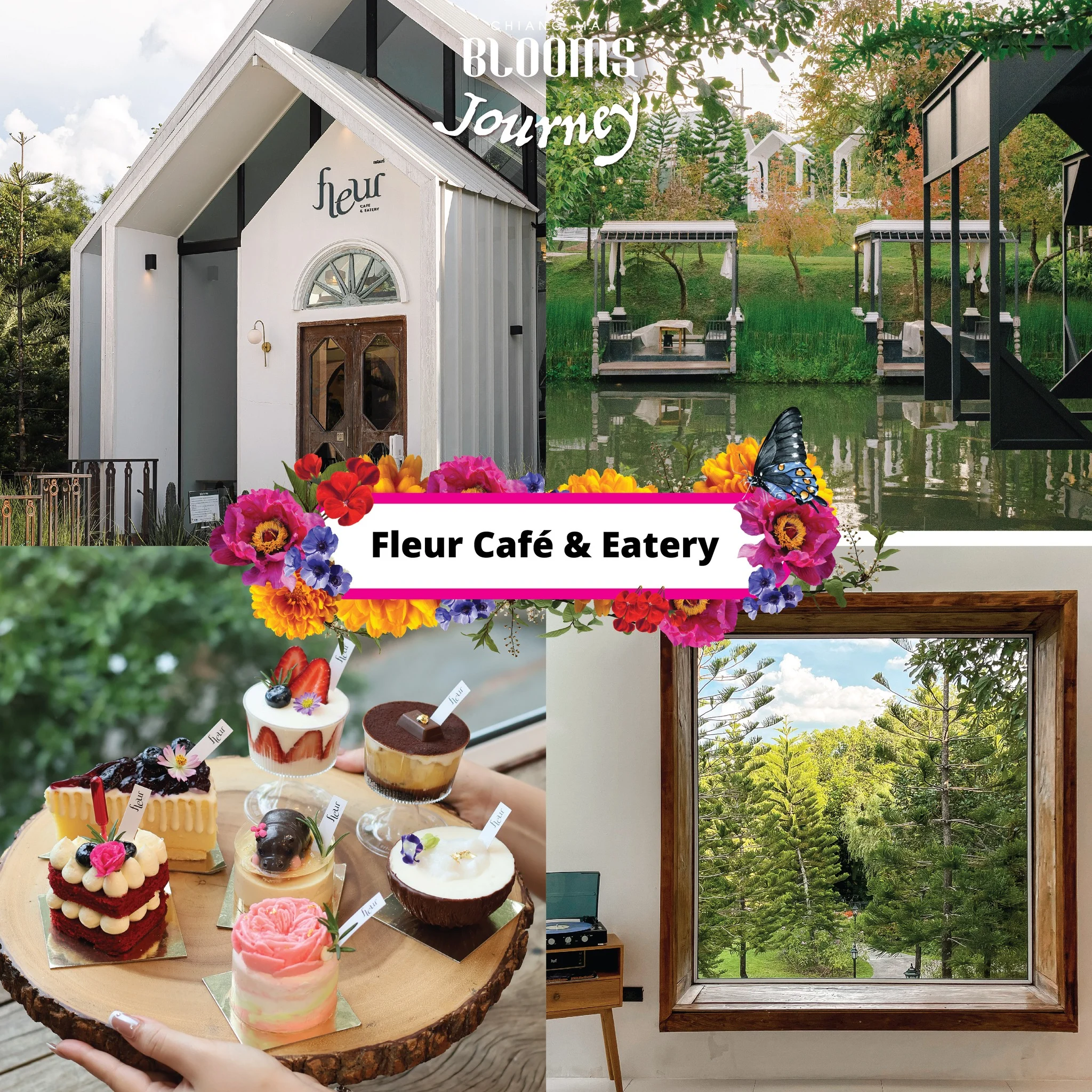 Chiang Mai Blooms Journey ดีลเด็ดที่พัก ร้านอาหาร คาเฟ่เชียงใหม่
