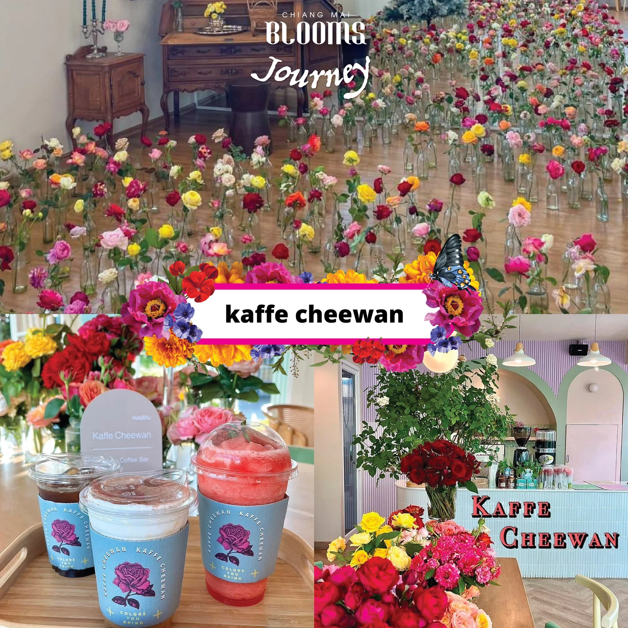 Chiang Mai Blooms Journey ดีลเด็ดที่พัก ร้านอาหาร คาเฟ่เชียงใหม่