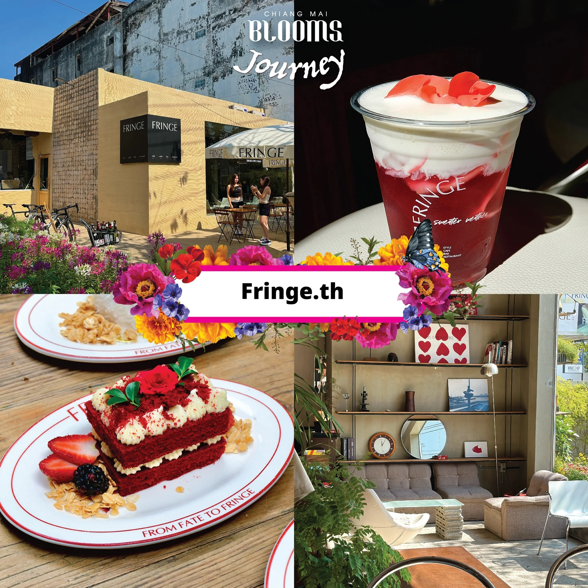 Chiang Mai Blooms Journey ดีลเด็ดที่พัก ร้านอาหาร คาเฟ่เชียงใหม่