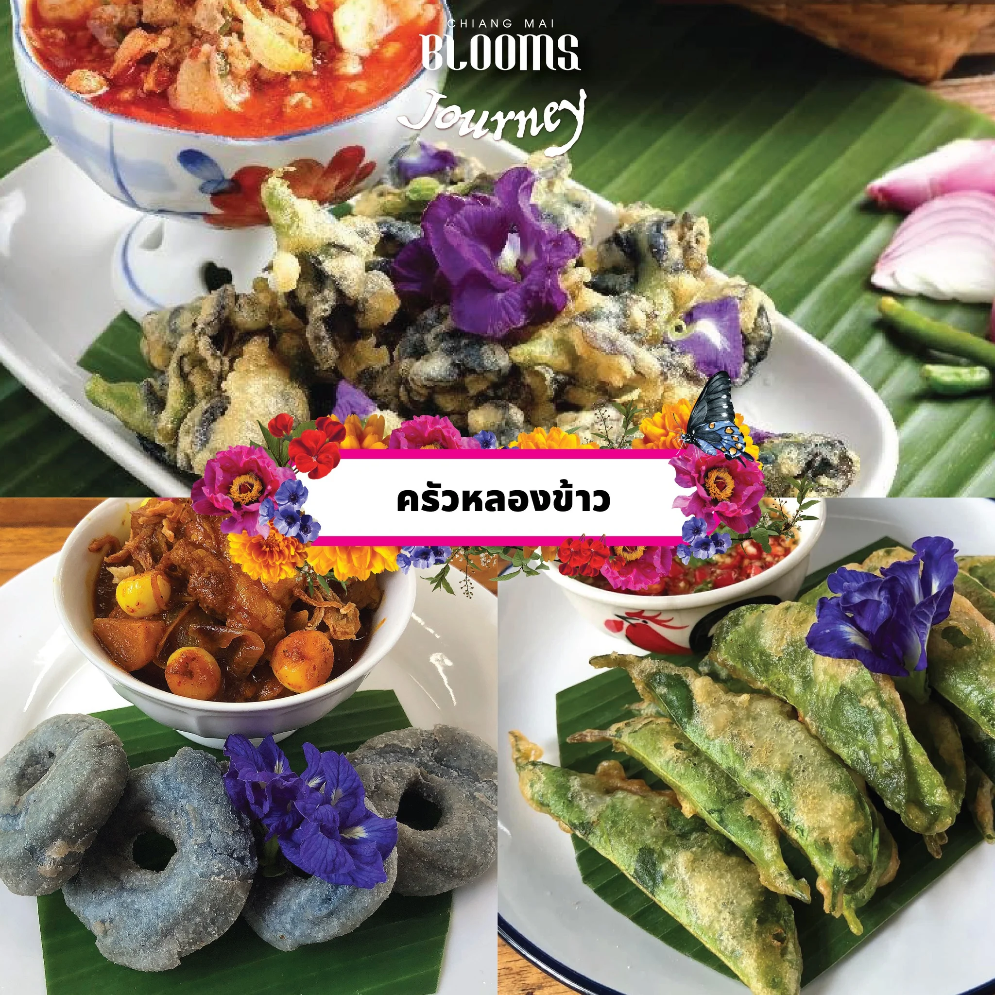 Chiang Mai Blooms Journey ดีลเด็ดที่พัก ร้านอาหาร คาเฟ่เชียงใหม่