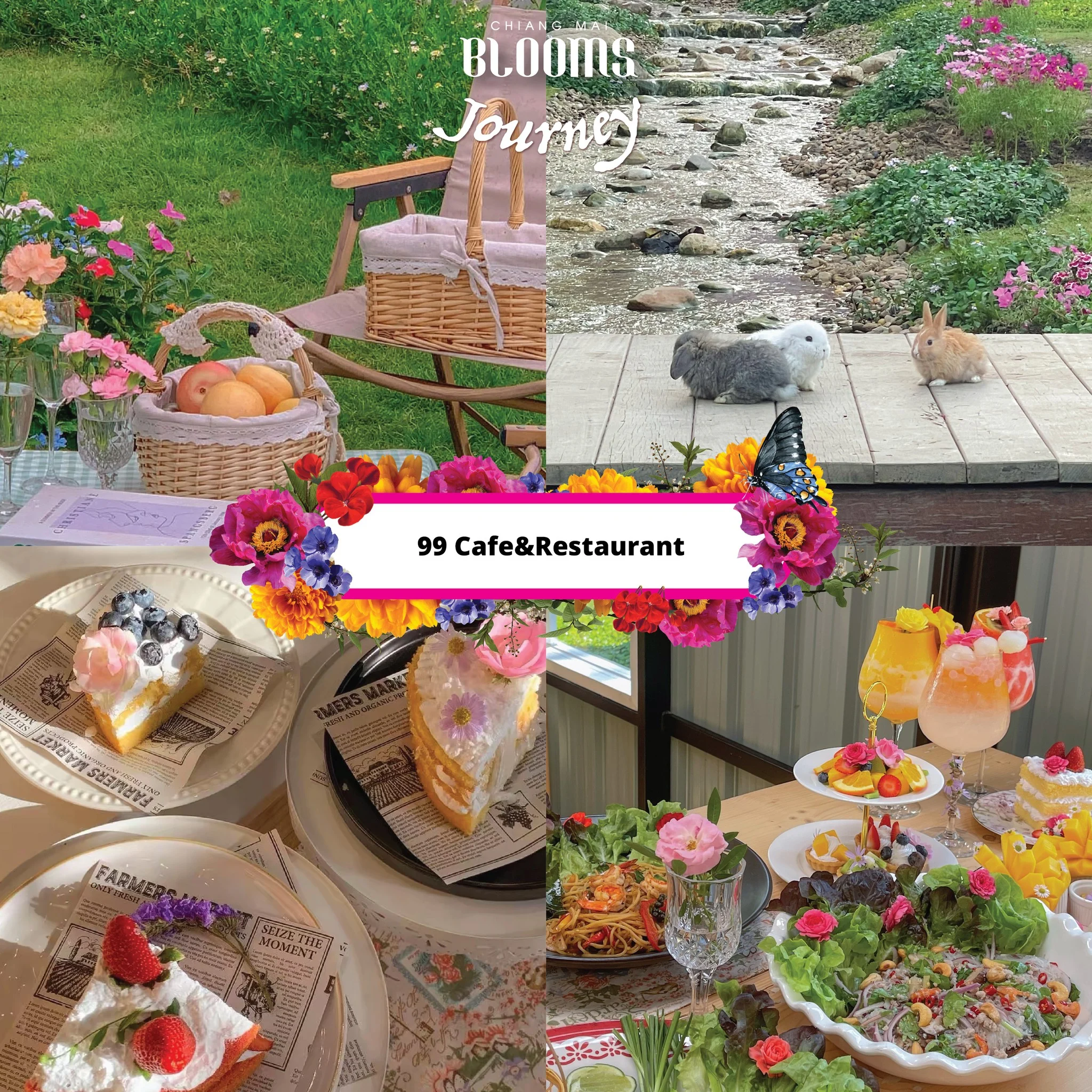 Chiang Mai Blooms Journey ดีลเด็ดที่พัก ร้านอาหาร คาเฟ่เชียงใหม่
