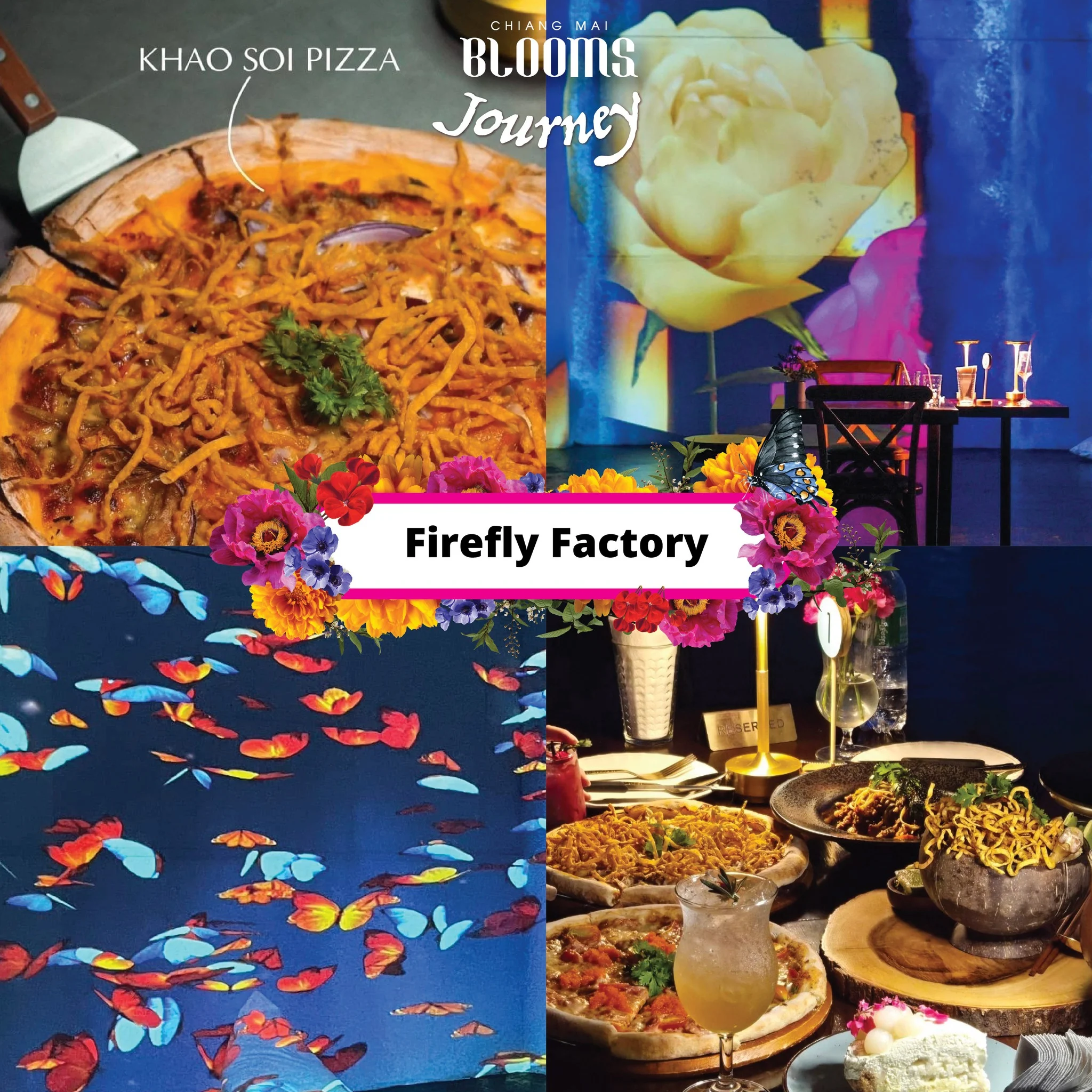 Chiang Mai Blooms Journey ดีลเด็ดที่พัก ร้านอาหาร คาเฟ่เชียงใหม่