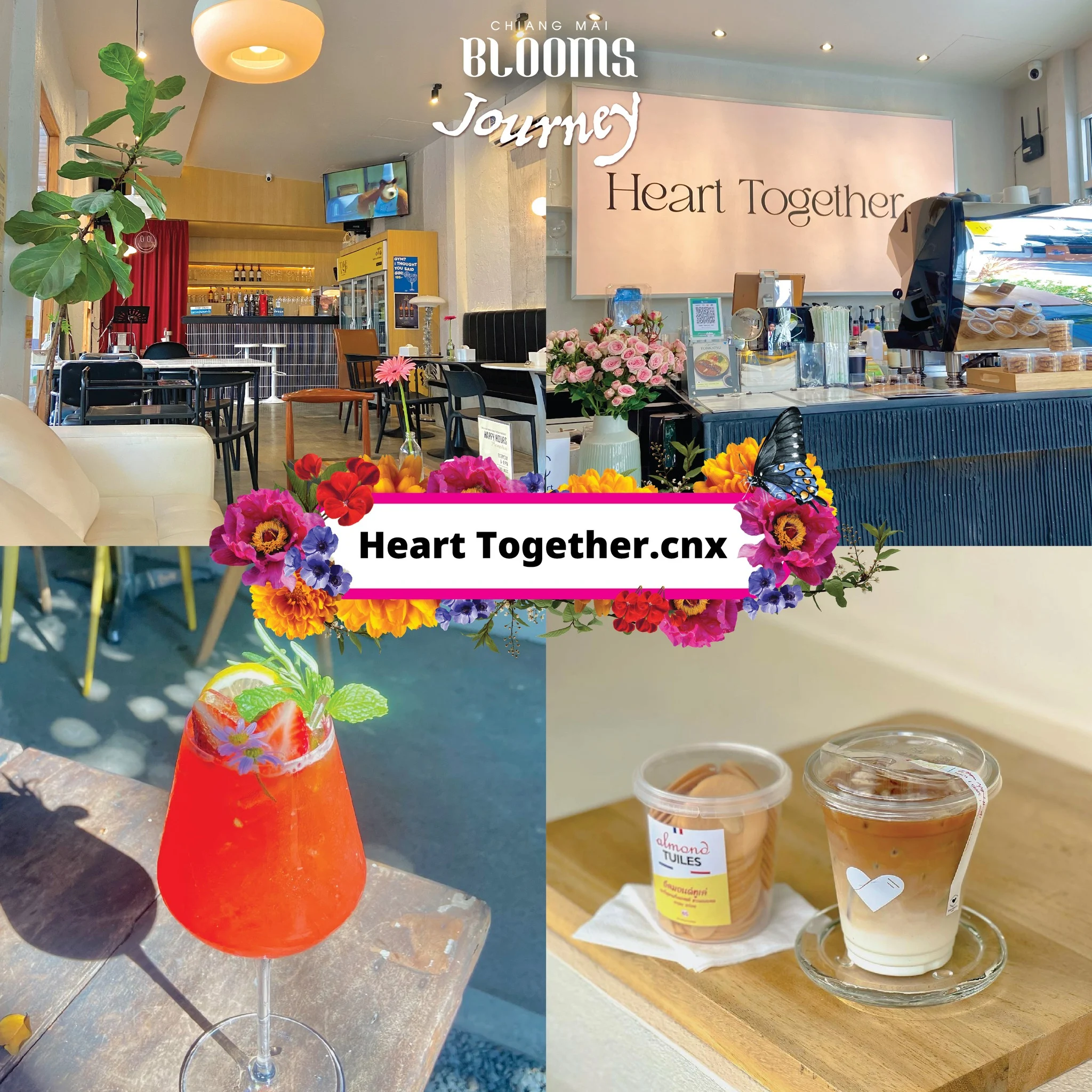 Chiang Mai Blooms Journey ดีลเด็ดที่พัก ร้านอาหาร คาเฟ่เชียงใหม่