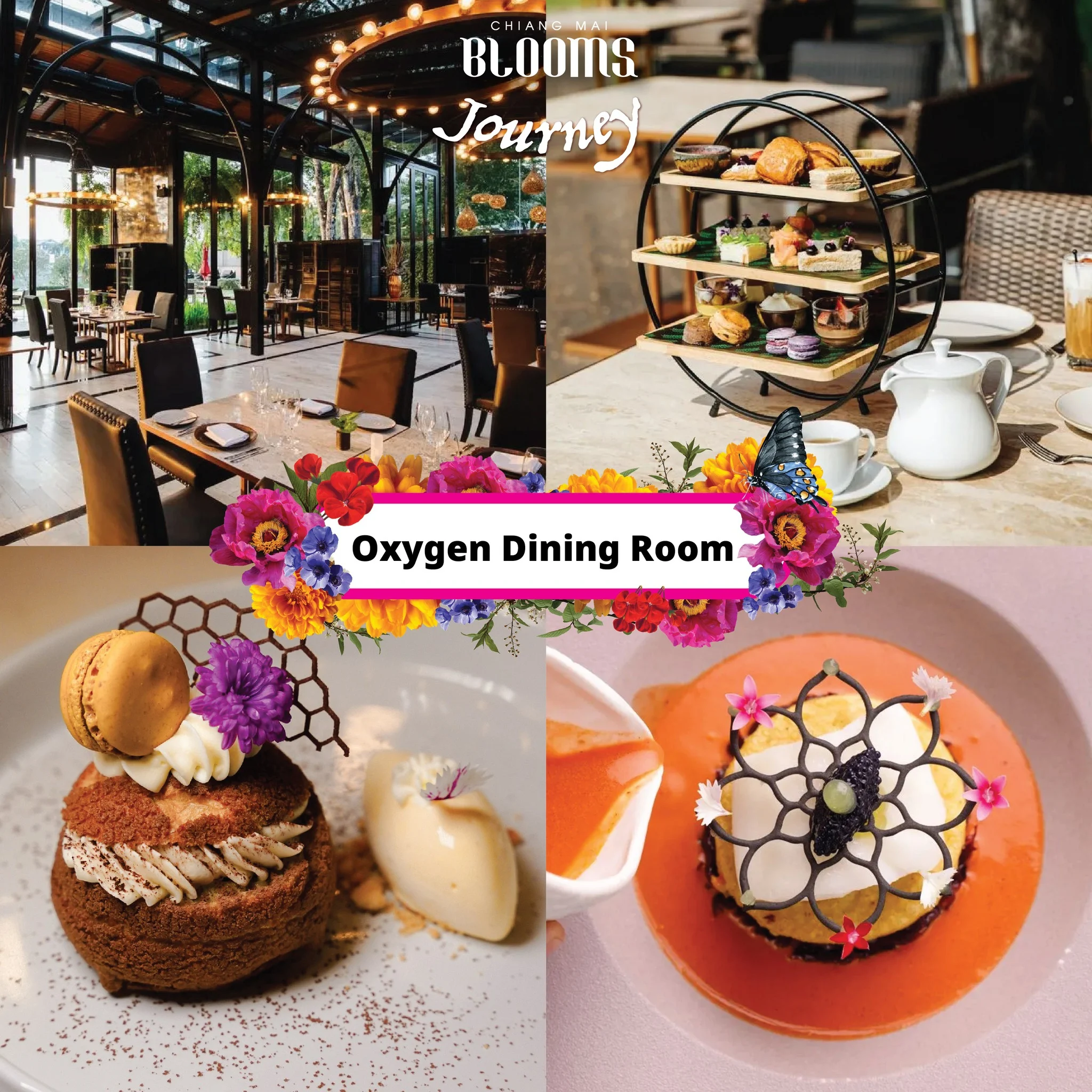 Chiang Mai Blooms Journey ดีลเด็ดที่พัก ร้านอาหาร คาเฟ่เชียงใหม่