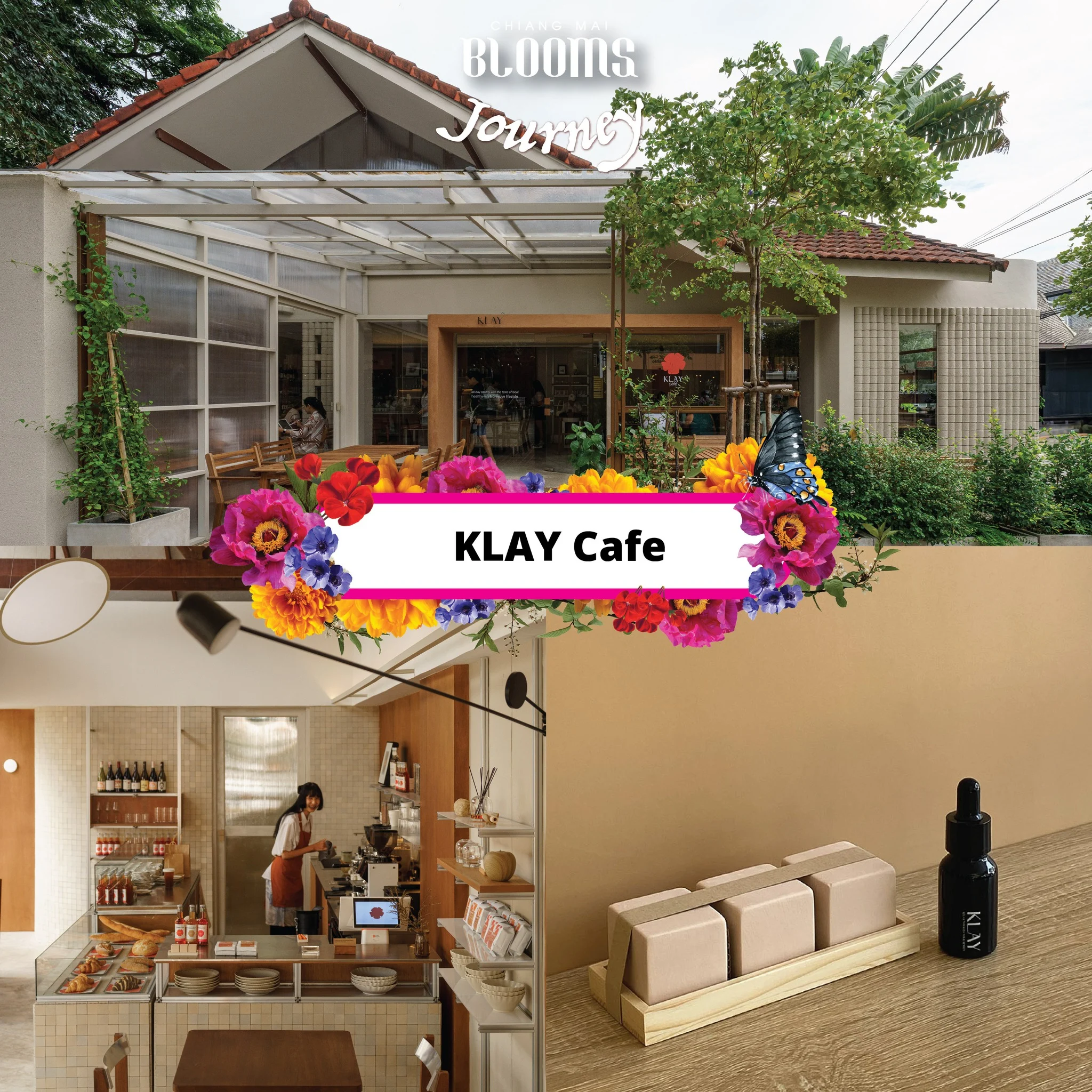 Chiang Mai Blooms Journey ดีลเด็ดที่พัก ร้านอาหาร คาเฟ่เชียงใหม่
