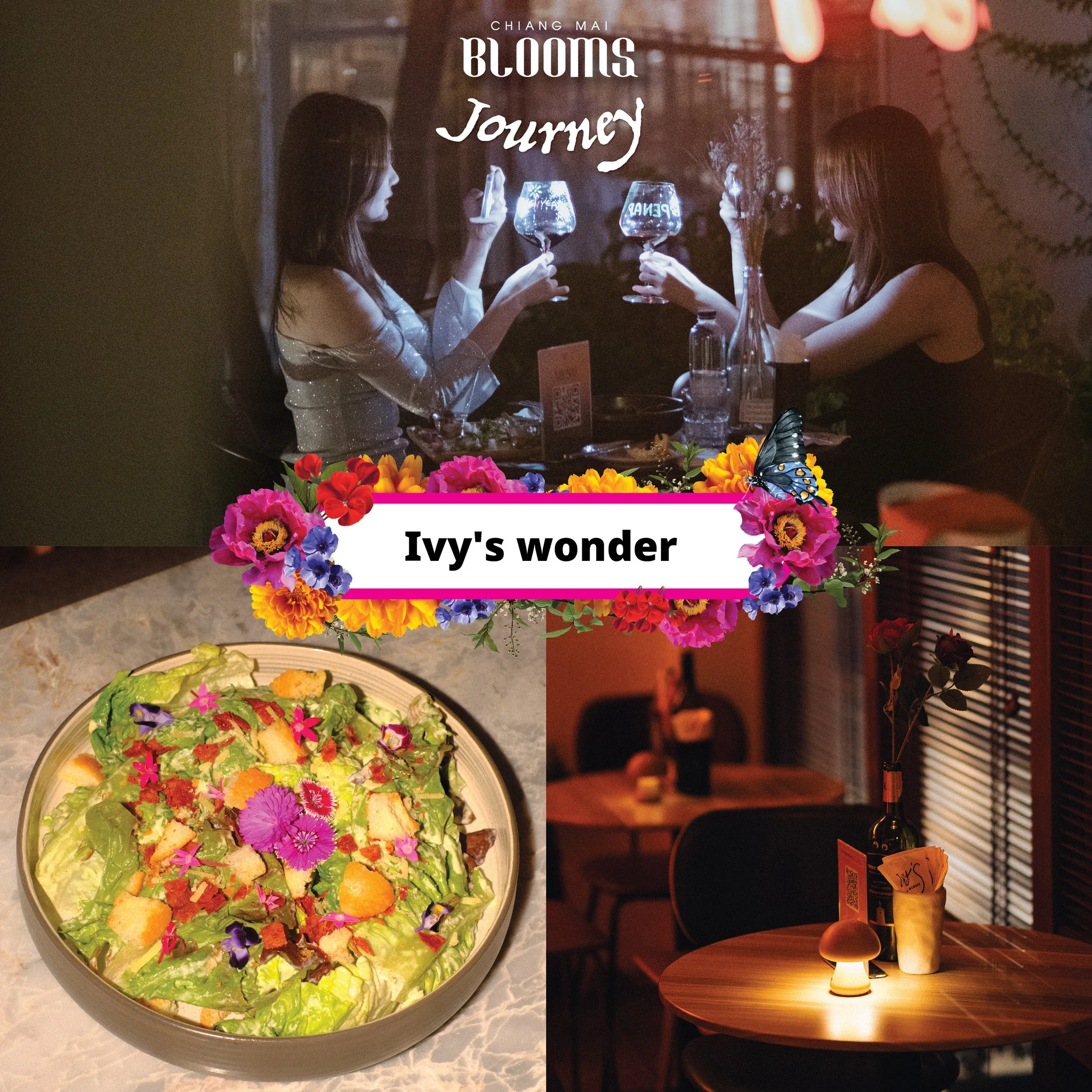 Chiang Mai Blooms Journey ดีลเด็ดที่พัก ร้านอาหาร คาเฟ่เชียงใหม่