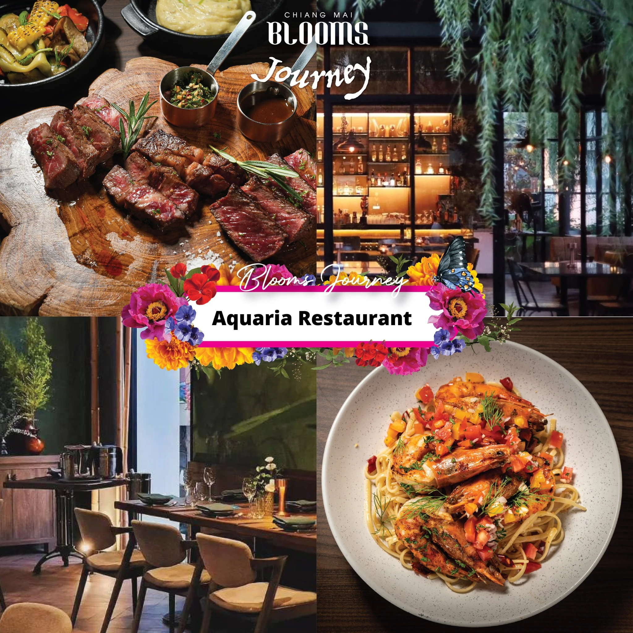 Chiang Mai Blooms Journey ดีลเด็ดที่พัก ร้านอาหาร คาเฟ่เชียงใหม่
