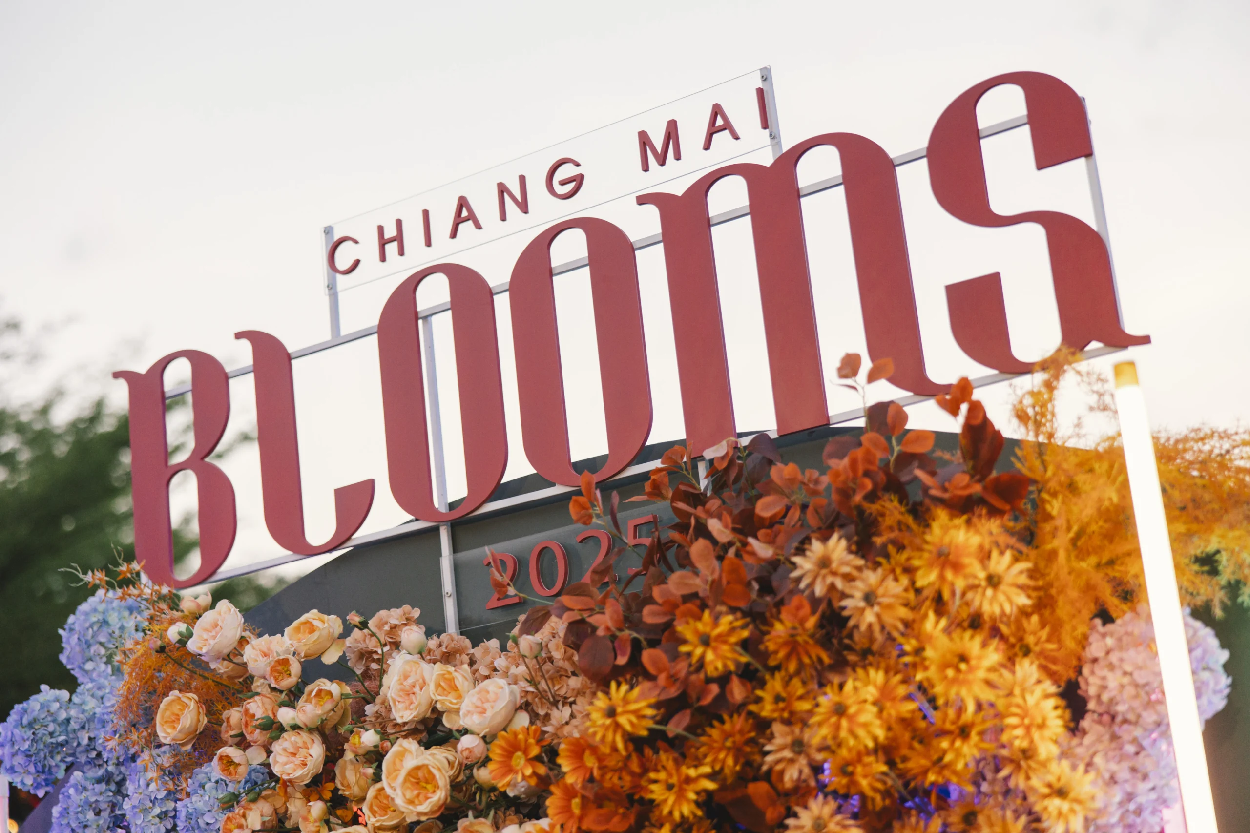 Chiang Mai Blooms Nightlife 2025