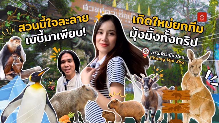 กิ๋นแต๊แอ่วว่า